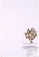 藏品(網胰藻)的圖片